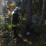 Brand