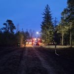 Brand